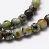 Natural African Turquoise(Jasper) Beads Strands G-D840-90-10mm-3