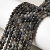 Natural Iolite Beads Strands G-G343-B01-3mm-1