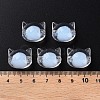 Transparent Acrylic Beads MACR-S373-115-B08-5