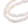 Natural Freshwater Shell Beads Strands X-BSHE-T009A-01B-3