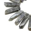 Natural Labradorite Beads Strands G-R419-03-1