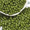 Baking Paint Pearlized Glass Seed Beads SEED-C001-04A-09-1
