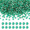 Picasso Baking Paint Glass Seed Beads SEED-TA0001-62G-1