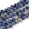 Natural Blue Spot Jasper Beads Strands G-A257-A15-01-1