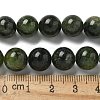 Natural Green Diopside Beads Strands G-K382-B01-03-5