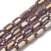 Electroplate Glass Beads Strands EGLA-D031-01-05-1