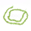 Natural Peridot Beads Strands X-G-D0004-A02-03-5