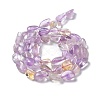 Natural Ametrine Beads Strands G-I351-A11-3