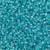 MIYUKI Round Rocailles Beads X-SEED-G009-RR0647-3