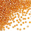 Picasso Baking Paint Glass Seed Beads SEED-TA0001-62C-2