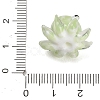 Handmade Lampwork Beads LA-CBA1426-01D-3