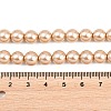 Eco-Friendly Dyed  Glass Pearl Round Beads Strands HY-A002-8mm-RB064-2
