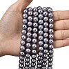 Eco-Friendly Dyed Glass Pearl Round Beads Strands HY-A002-10mm-RB028-6