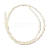 Natural White Shell Beads Strands SHEL-M021-03B-2