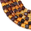 Two Tone Natural Amber Beads Strands G-K426-A03-04-4