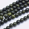 Natural Serpentine/Green Lace Stone Beads Strands X-G-P345-01-10mm-1