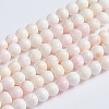 Natural Pink Shell Beads Strands SSHEL-L016-18A-1