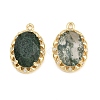 Brass Glass Pendants GL-CBABDD8-17G-03-1