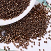 MIYUKI Delica Beads X-SEED-J020-DB0461-1