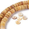 Natural Freshwater Shell Beads Strands BSHE-I016-04B-4
