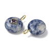 Natural Blue Spot Jasper Pendants G-I391-01G-06-2