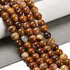 Natural Wood Lace Stone Beads Strands G-B128-A04-03-2