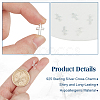 6Pcs Hollow 925 Sterling Silver Cross Charms STER-DR0001-32-3