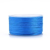 Polyester Braided Cords OCOR-I006-A01-20-1