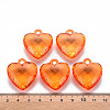 Transparent Acrylic Pendants TACR-T024-03B-921-4