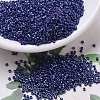 MIYUKI Delica Beads X-SEED-J020-DB0135-1