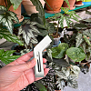 1Pc Stainless Steel Plant Transplanting Pliers AJEW-LP0002-10-3