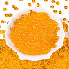 FGB Transparent Glass Seed Beads SEED-N013-01B-11-2