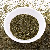 MIYUKI Delica Beads X-SEED-J020-DB0604-2