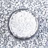 6/0 Glass Seed Beads SEED-A016-4mm-201-3