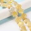 Natural Topaz Jade Beads Strands G-K357-C01-01-2