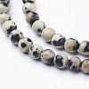 Natural Dalmatian Jasper Beads Strands X-GSR4mmC004-2