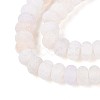 Natural Weathered Agate Beads Strands G-N357-13A-05-4