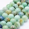 Natural Chrysocolla Beads Strands G-J373-02-12mm-1