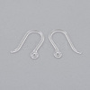 Resin Earring Hooks X-RESI-J021-10B-2