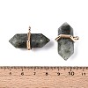Natural Labradorite Double Terminal Pointed Pendants G-N345-09H-3