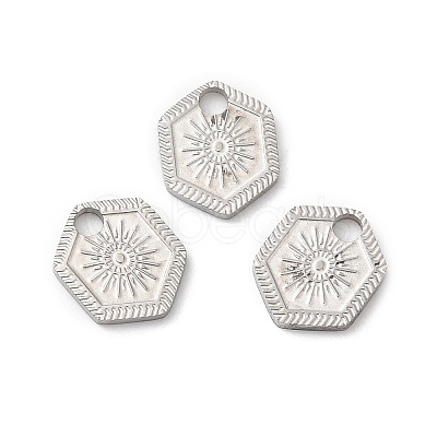 Non-Tarnish 316L Surgical Stainless Steel Charms STAS-H213-52P-1