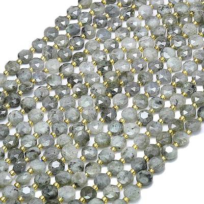 Natural Labradorite Beads Strands G-C116-A65-02-1