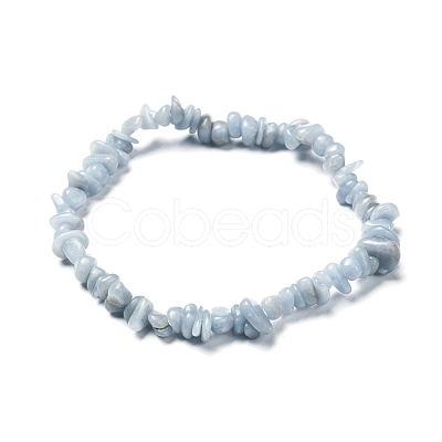 Natural Angelite Chips Beads Stretch Bracelets BJEW-JB06621-1