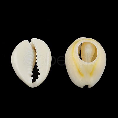 Natural Mixed Cowrie Shell Beads X-BSHE-S052-01-1