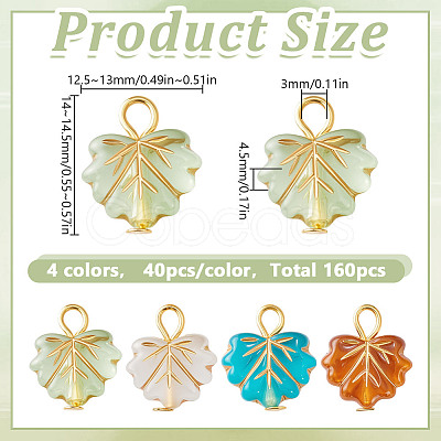 Transparent Acrylic with Iron Pendants PALLOY-HY00110-1