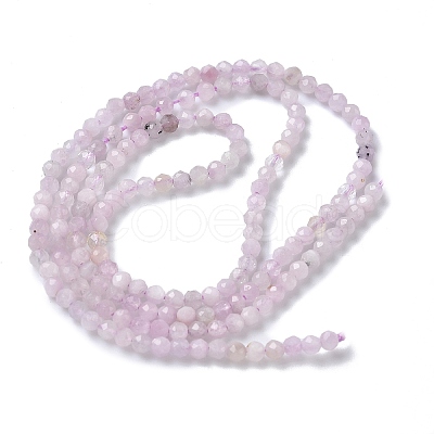 Natural Kunzite/Spodumene Beads Strands G-L651-C12-2mm-02-1