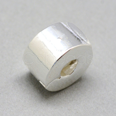 Alloy European Style Clasps PDLC-R001-14S-1