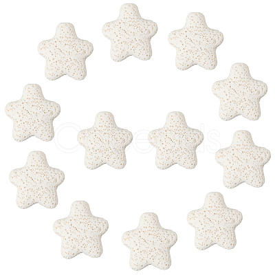 24Pcs Star Synthetic Lava Rock Beads G-PA0002-25B-1