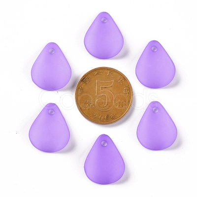 Transparent Frosted Acrylic Pendants MACR-S371-09A-747-1