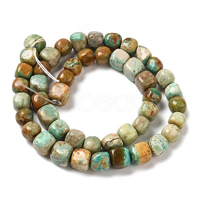 Natural Turquoise Beads Strands G-P506-06A-1